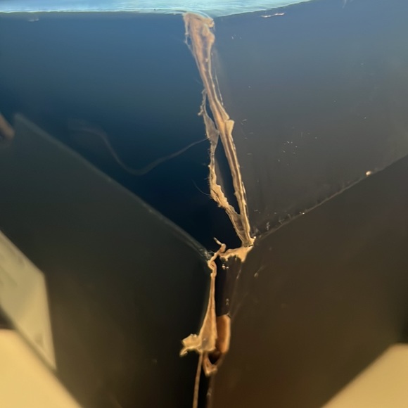 Jordan 10 Retro Cool Grey - Picture 7 of 7